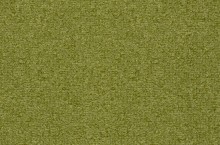 Passion 1044 Limes 4G22