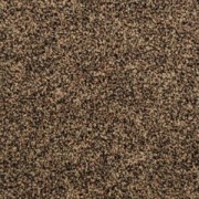 Polichrome Stipple Braun