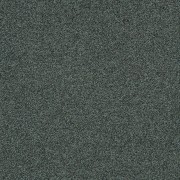 Polichrome Stipple 4265003 Caviar