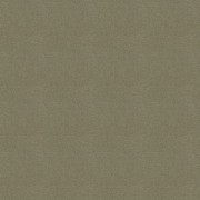 Polichrome Stipple 4265007 Hemp