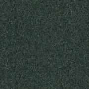 Tessera Basis Pro Teppichfliese - 4386 foliage
