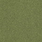 Tessera Basis Pro Teppichfliese - 4388 meadow