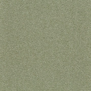 Tessera Chroma – 3627 fern