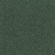 Tessera Chroma – 3629 ivy