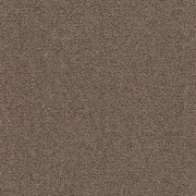Tessera Chroma – 3631 bramble