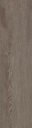 Textured Woodgrains A00418 Charcoal Dune