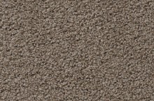 Exclusive 1009 SL Elara 8G81
